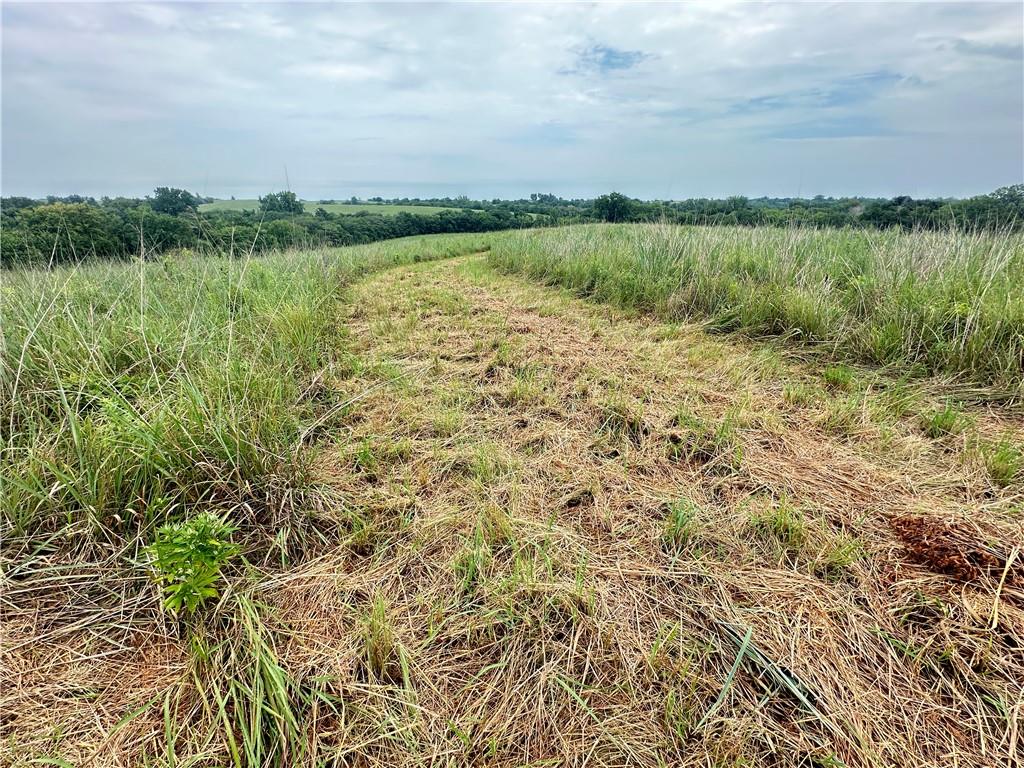 Tract 11 State M Highway Property Photo 16