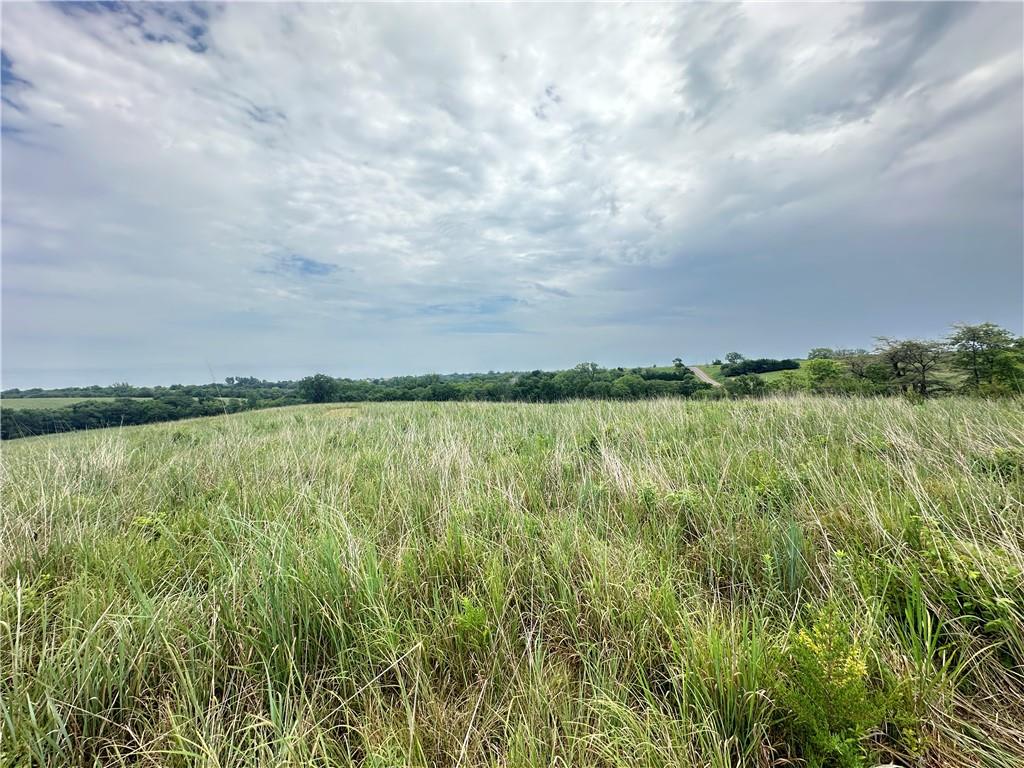 Tract 11 State M Highway Property Photo 18