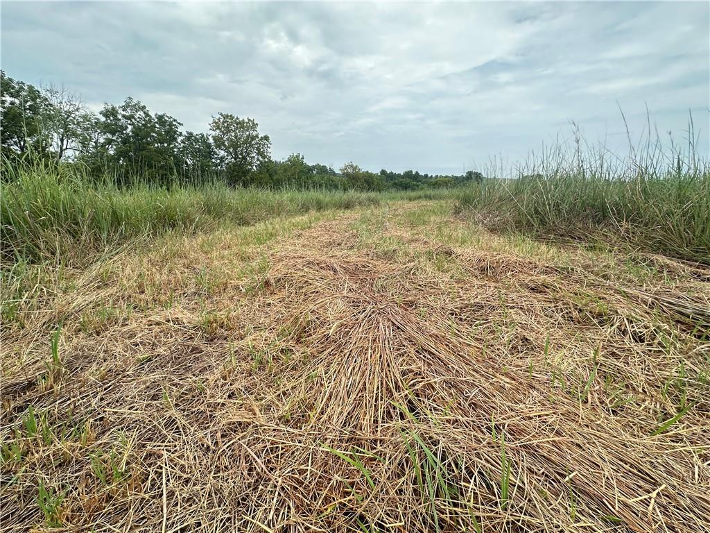 Tract 11 State M Highway Property Photo 19