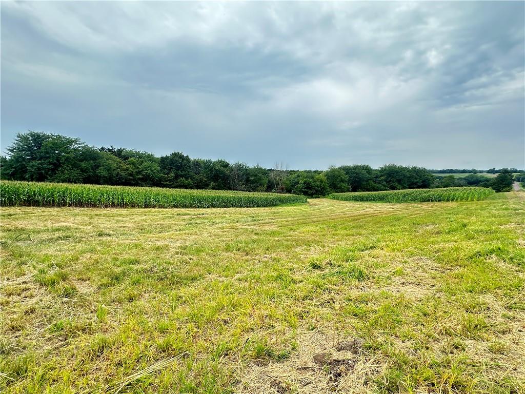 Tract 12 State M Highway Property Photo 17