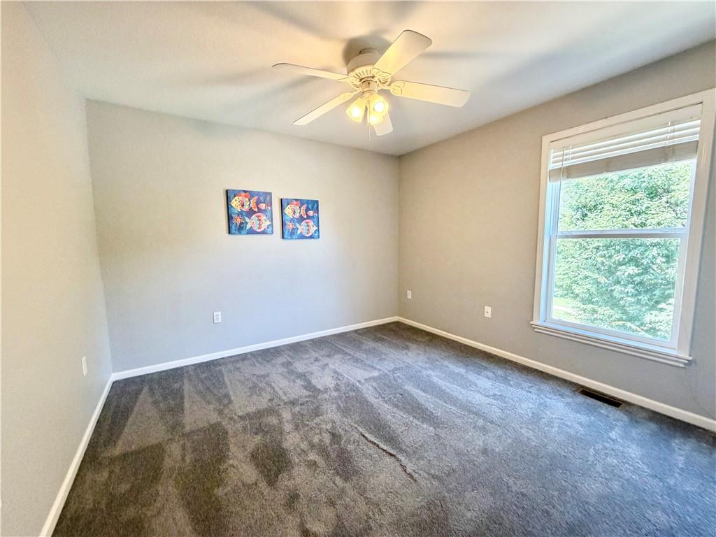 5217 Carson Drive Property Photo 39