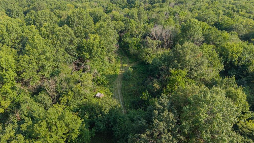 Tbd Se 671st Road Property Photo 6