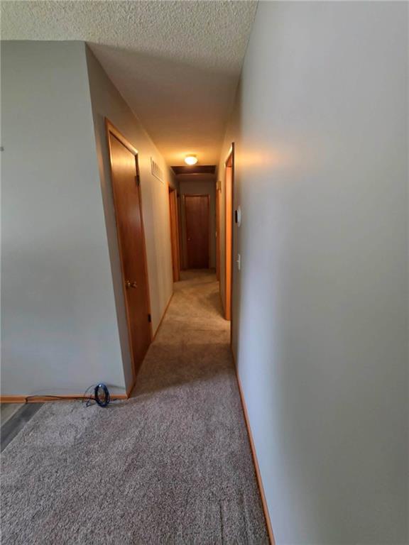 62 Jaguar Circle Property Photo 27