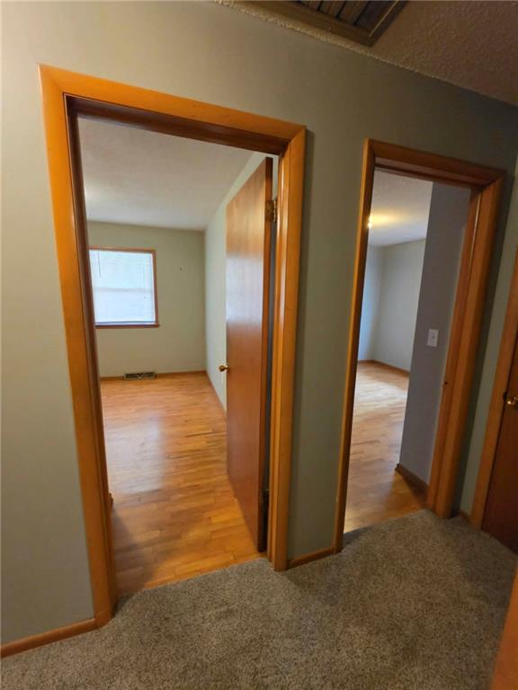 62 Jaguar Circle Property Photo 41