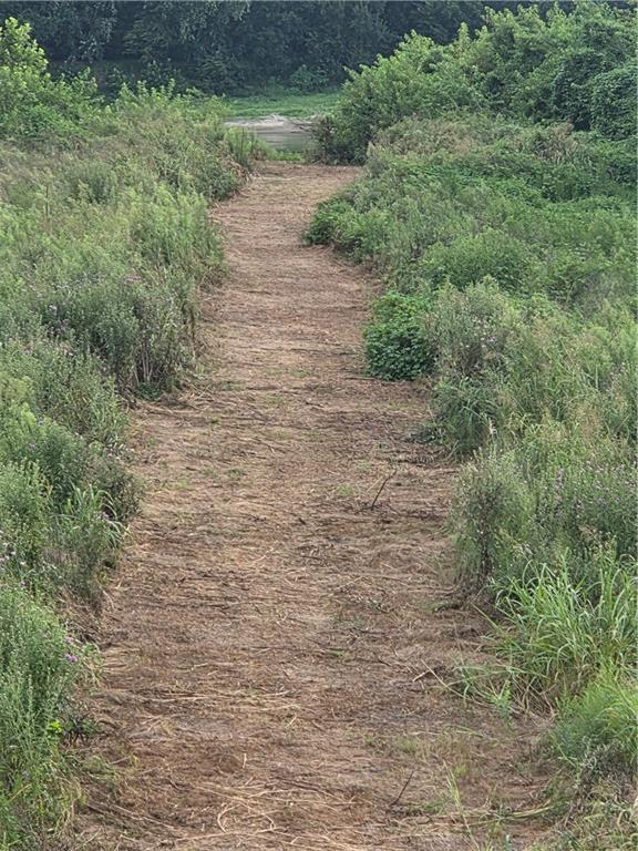 21400 Dry Lake Road Property Photo 32