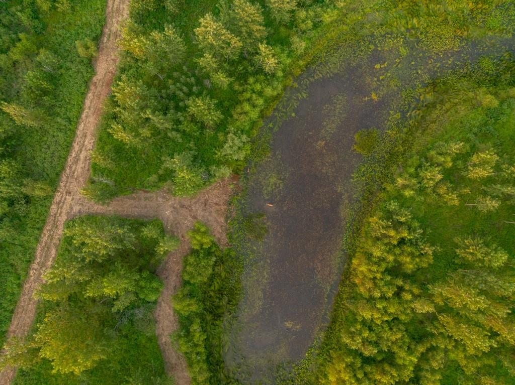 Tbd Highway 190 N/a Property Photo 31