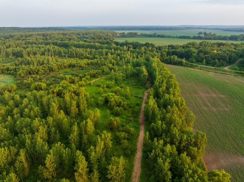 Tbd Highway 190 N/a Property Photo 33