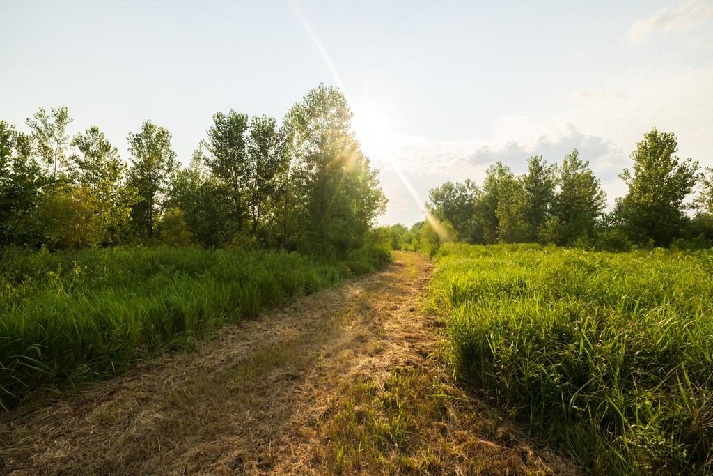 Tbd Highway 190 N/a Property Photo 43