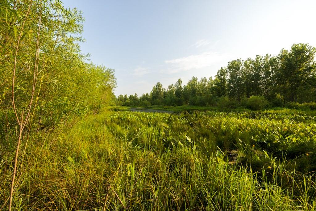 Tbd Highway 190 N/a Property Photo 46