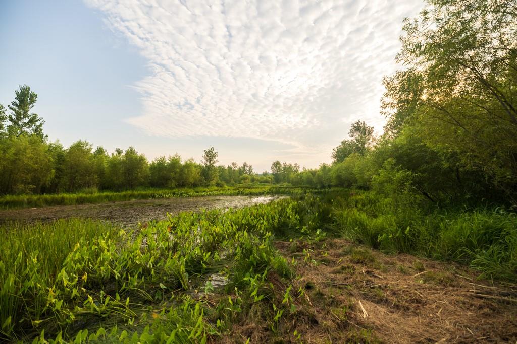 Tbd Highway 190 N/a Property Photo 55