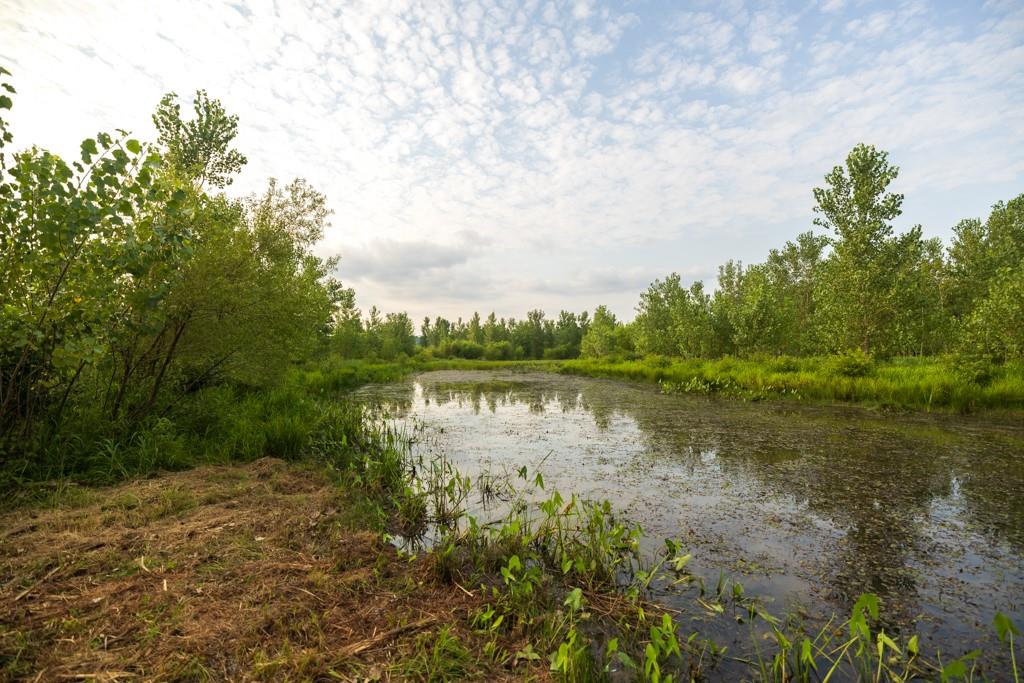 Tbd Highway 190 N/a Property Photo 58