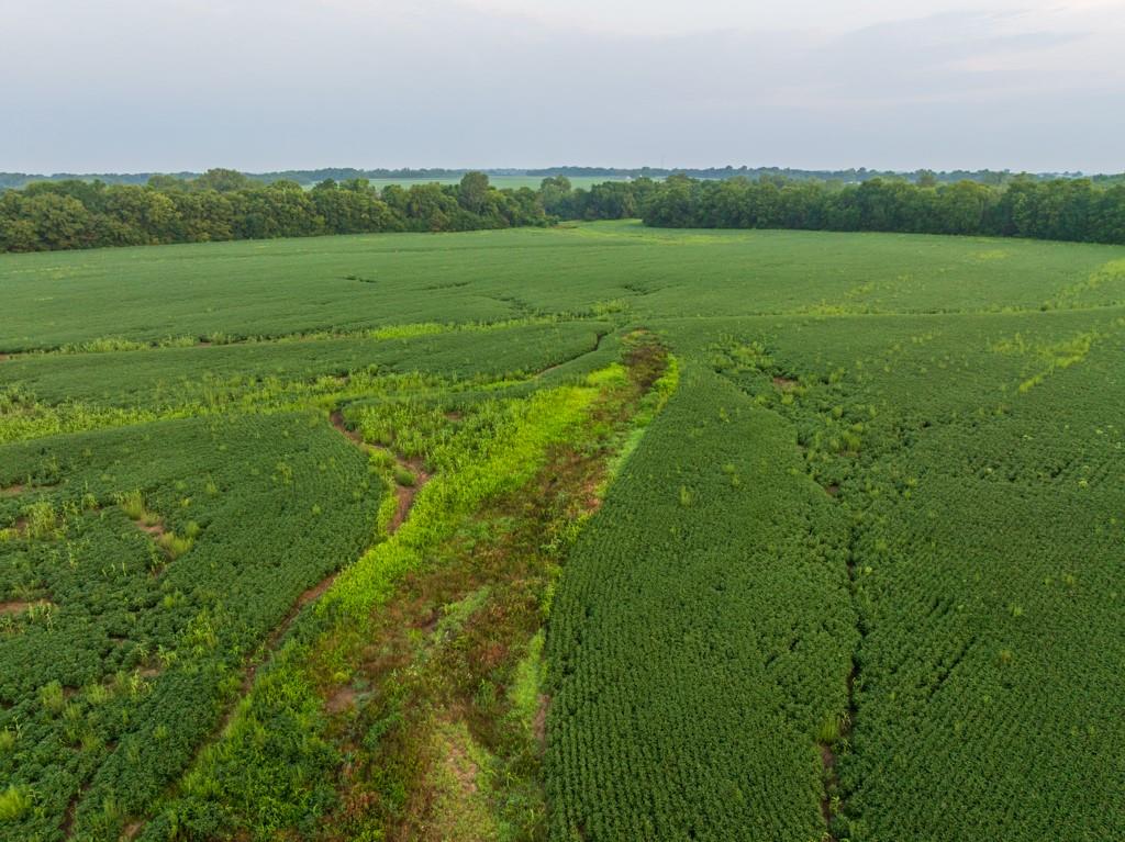 Tbd Sw 1300th Road Property Photo 12
