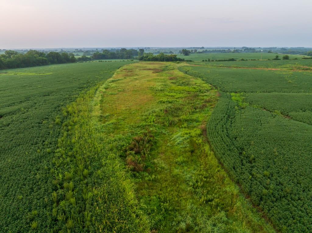 Tbd Sw 1300th Road Property Photo 17
