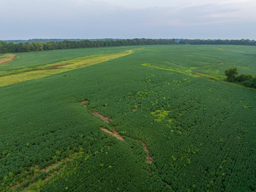 Tbd Sw 1300th Road Property Photo 20