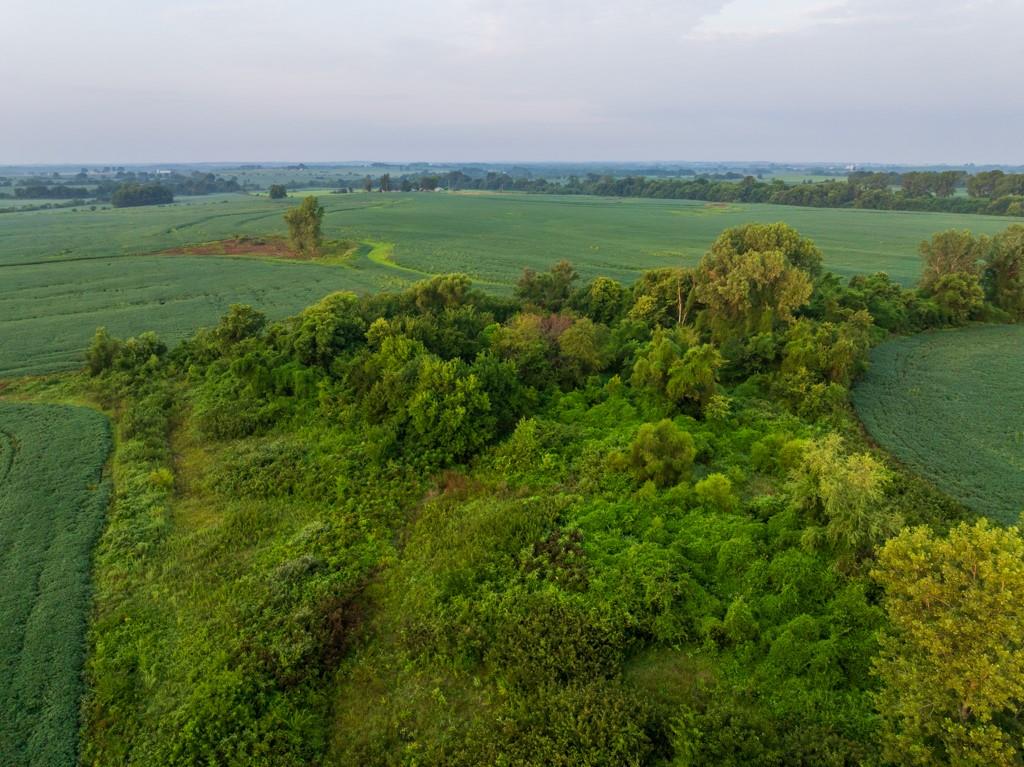 Tbd Sw 1300th Road Property Photo 44