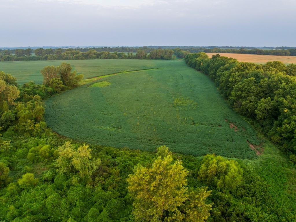 Tbd Sw 1300th Road Property Photo 45