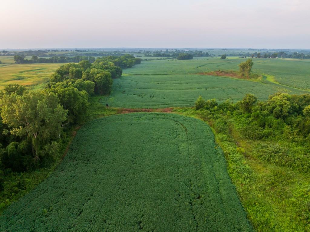 Tbd Sw 1300th Road Property Photo 46