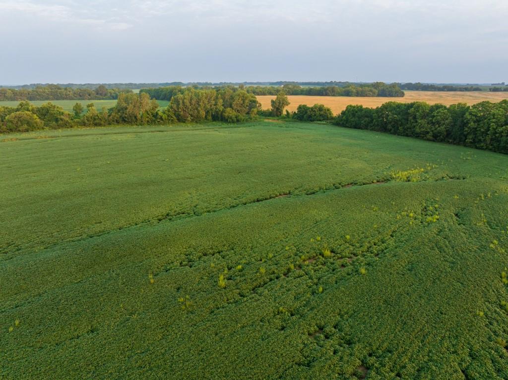 Tbd Sw 1300th Road Property Photo 60
