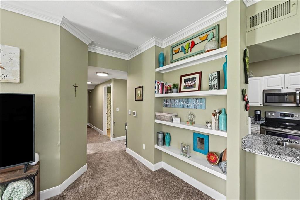 11607 Tomahawk Creek Parkway Property Photo 13