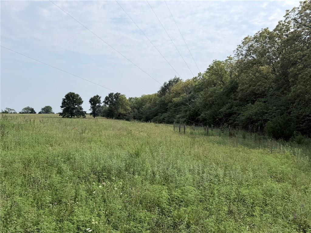 Tbd Major Avenue Property Photo 6