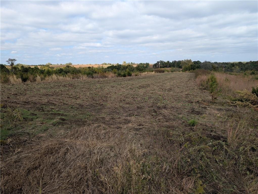 E 280th Street Property Photo 3