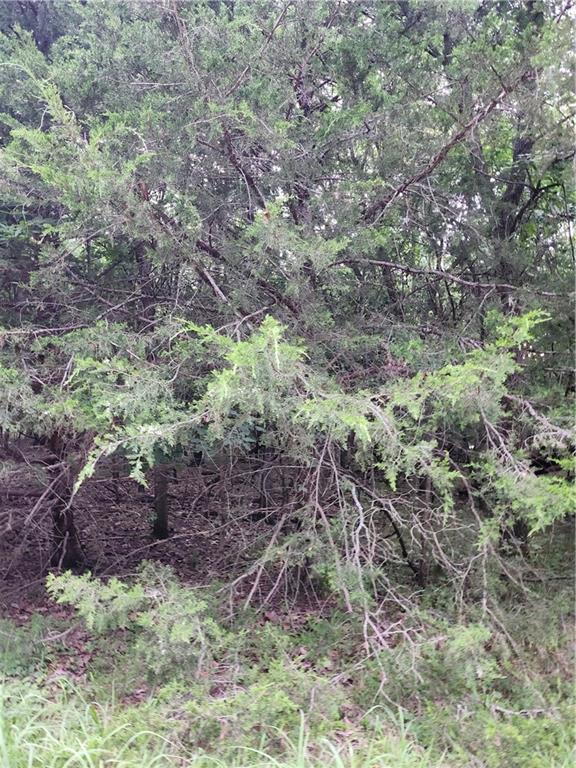 5 Silver Lane Property Photo 1