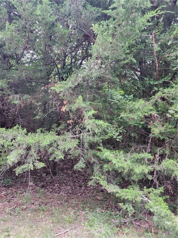 5 Silver Lane Property Photo 2