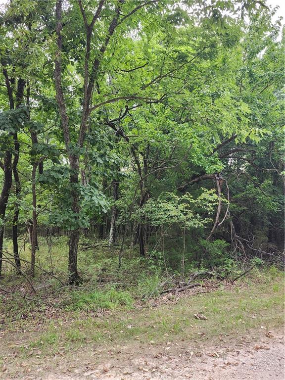 5 Silver Lane Property Photo 5