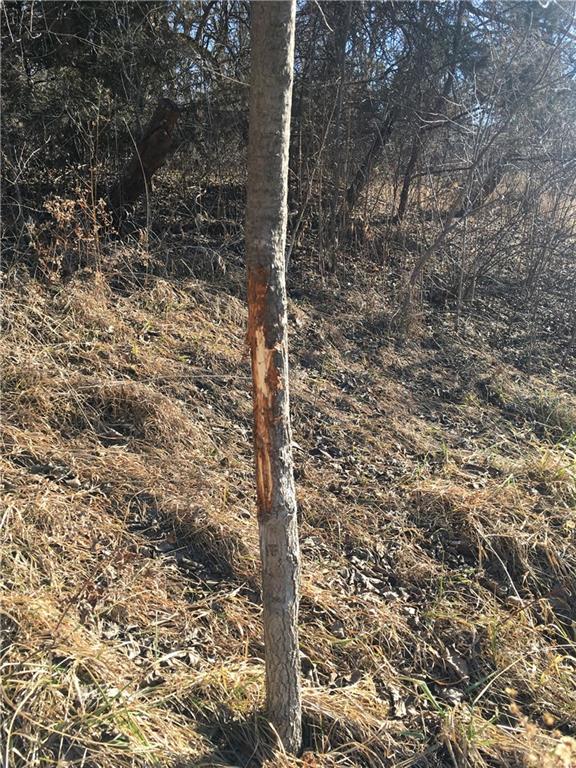 Se Black Oak Road Property Photo 31