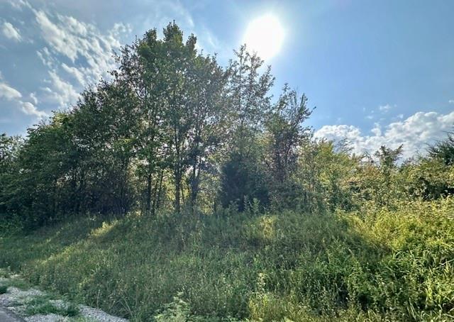 Tbd 69 Highway Property Photo 3