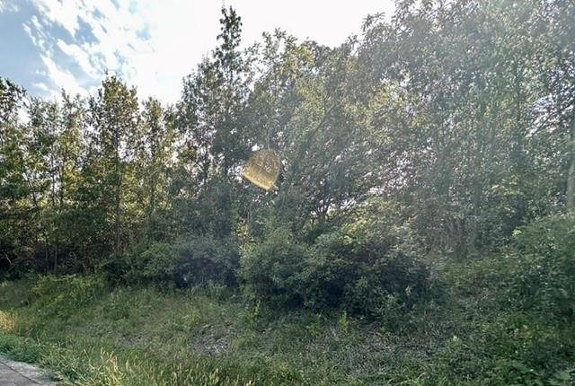 Tbd 69 Highway Property Photo 4