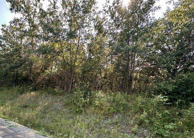Tbd 69 Highway Property Photo 5