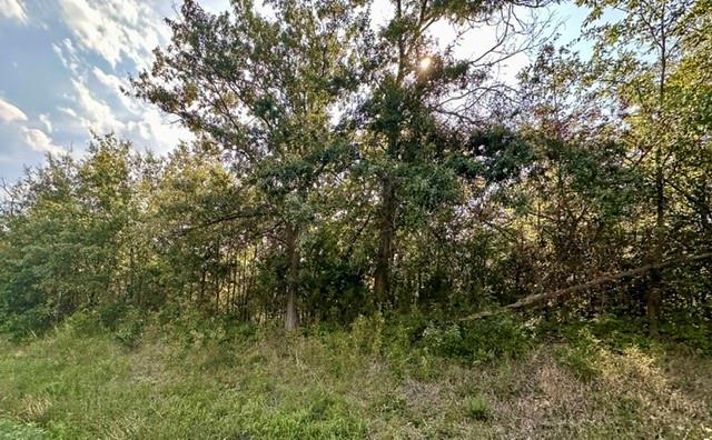 Tbd 69 Highway Property Photo 6