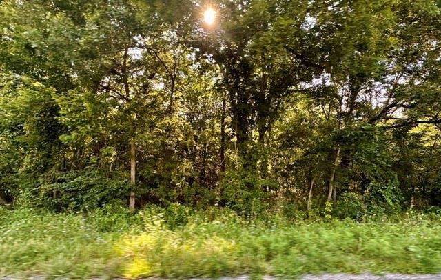 Tbd 69 Highway Property Photo 7