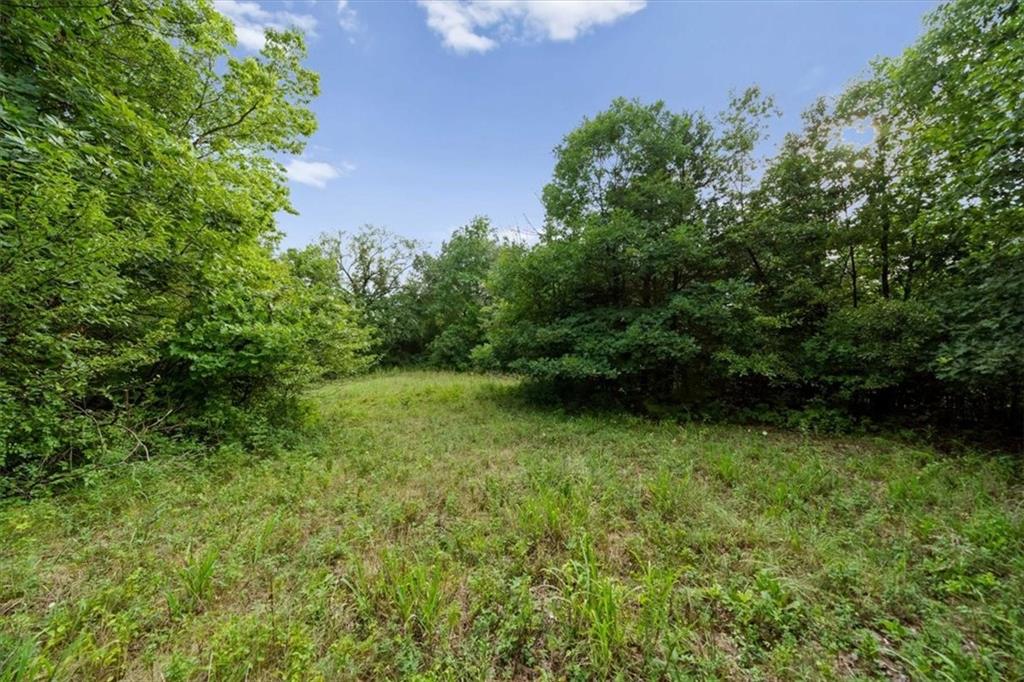 103 Ash Street Property Photo 25
