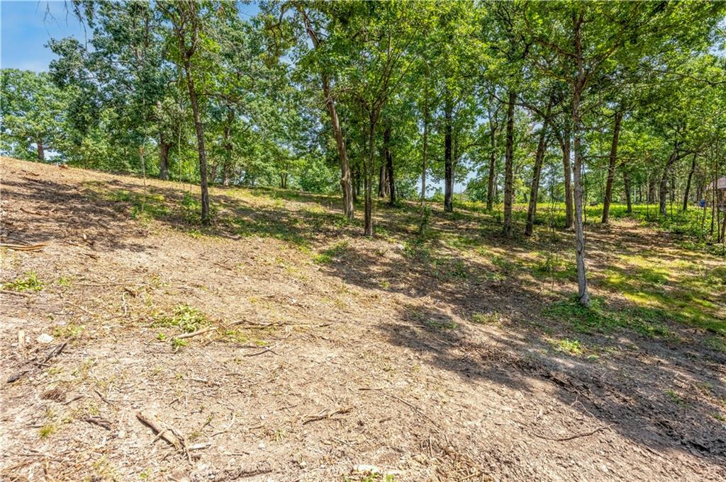 28186 Brushy Chapel Avenue Property Photo 60