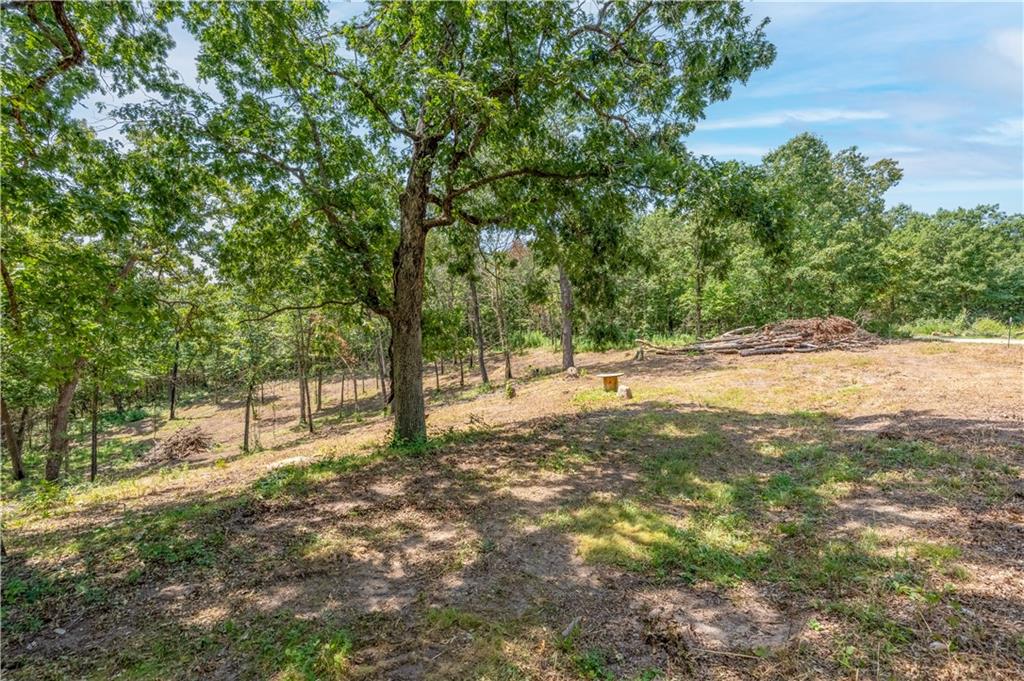 28186 Brushy Chapel Avenue Property Photo 69