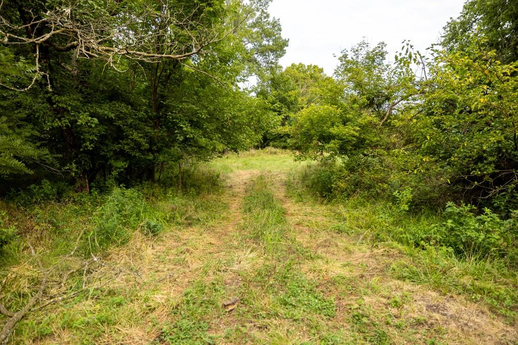 000 Se Mcbee Chapel Road Property Photo 41
