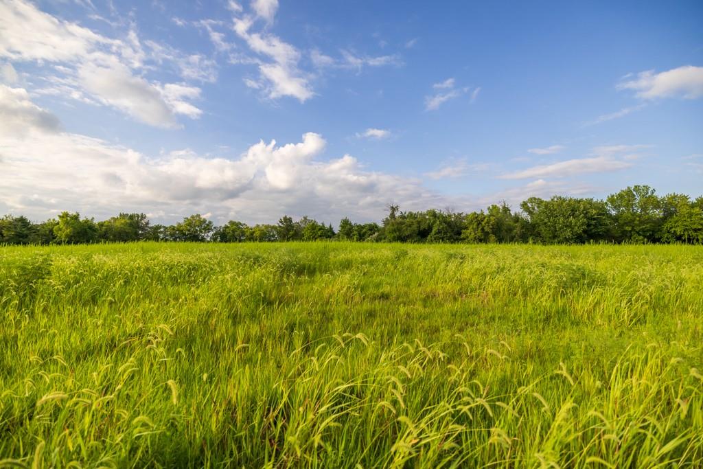 Lot 6 Timber Ridge Drive Property Photo 23