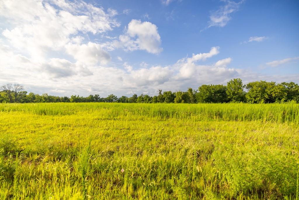 Lot 6 Timber Ridge Drive Property Photo 25