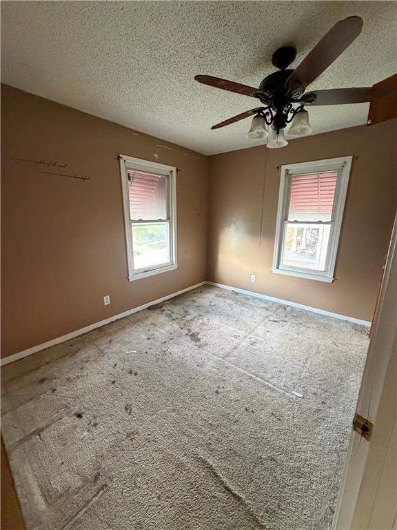 2806 Duncan Street Property Photo 7