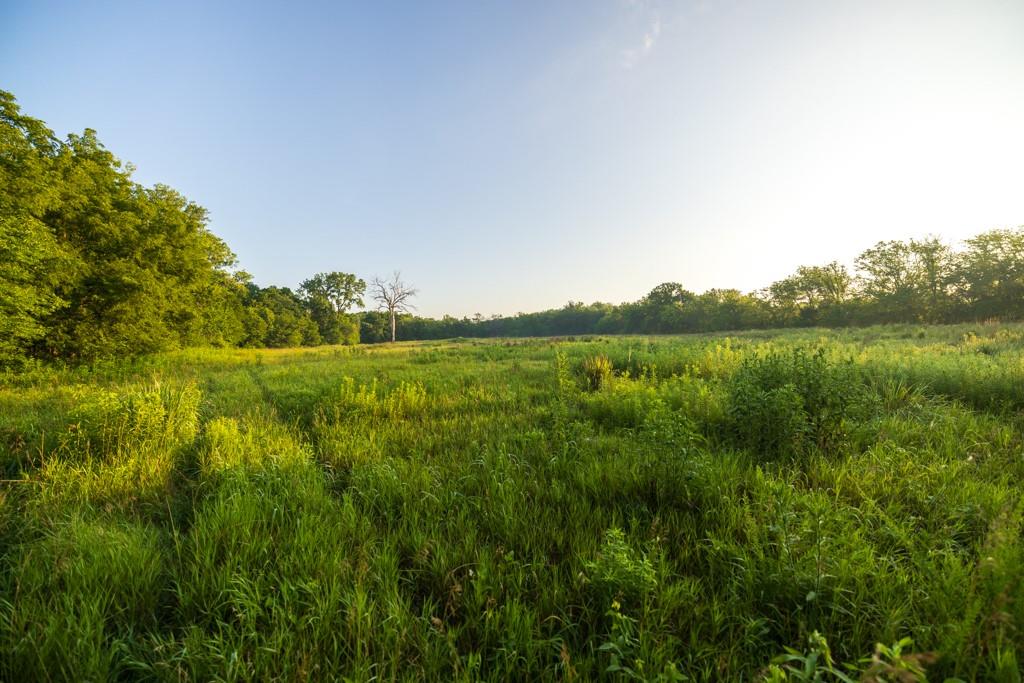 000 116 Highway Property Photo 38