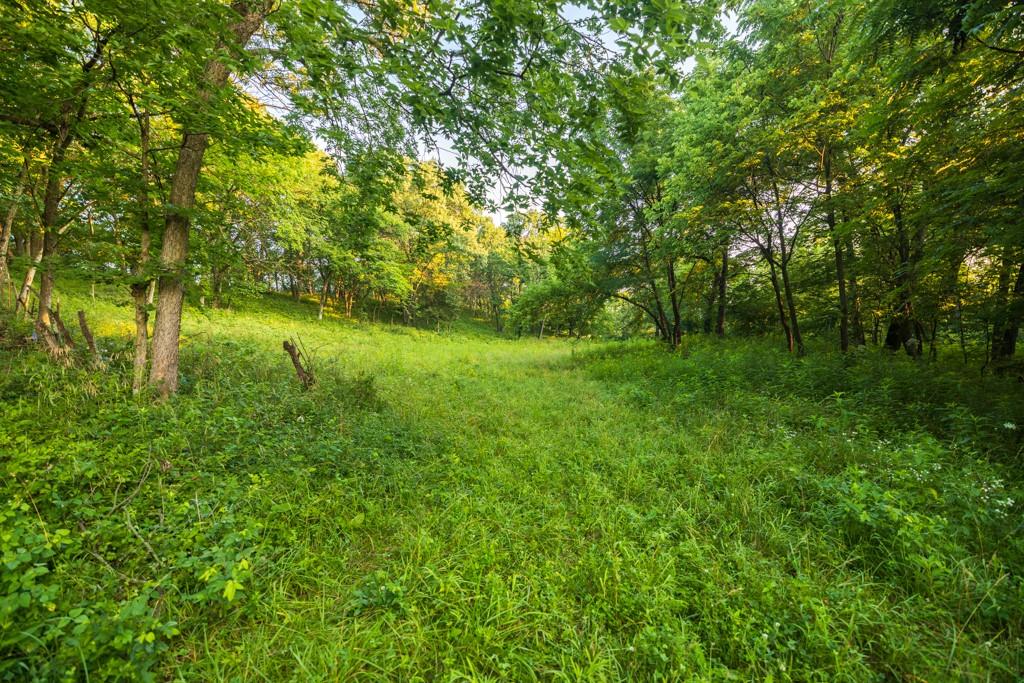 000 116 Highway Property Photo 42