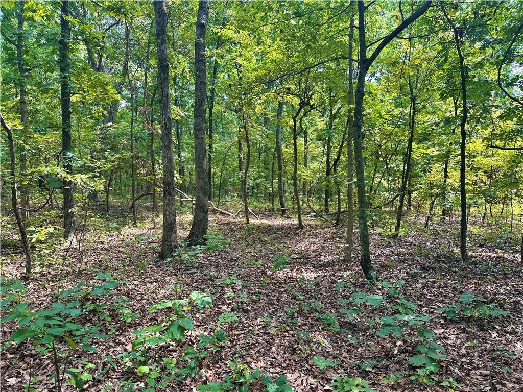 33001 Panther Way Property Photo 6