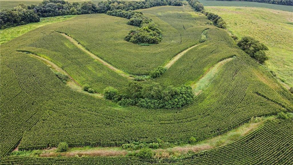 48 Acres V Highway Property Photo 6