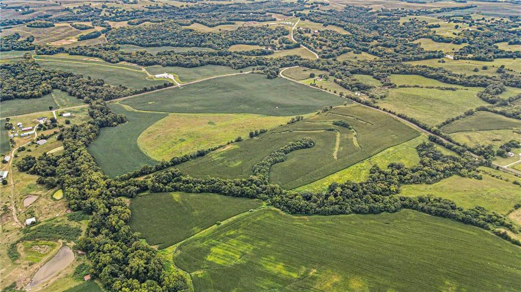 48 Acres V Highway Property Photo 10
