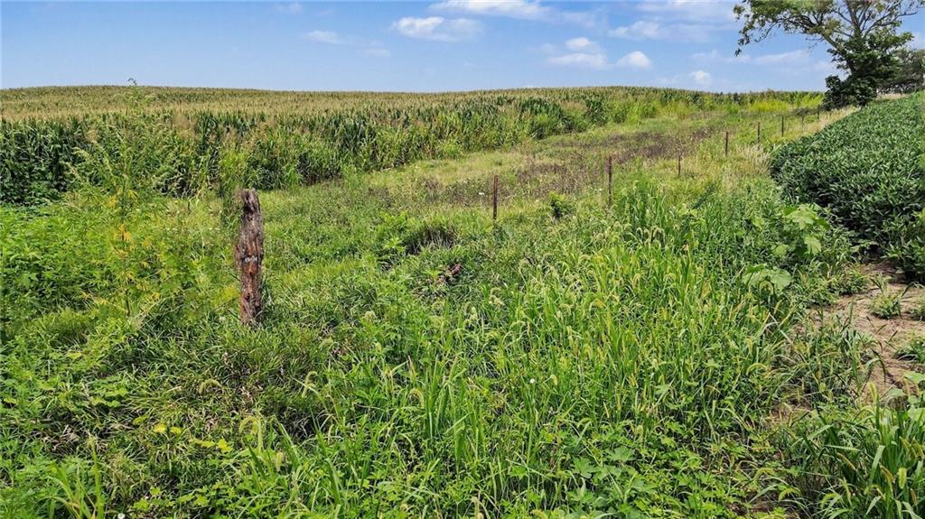 48 Acres V Highway Property Photo 13