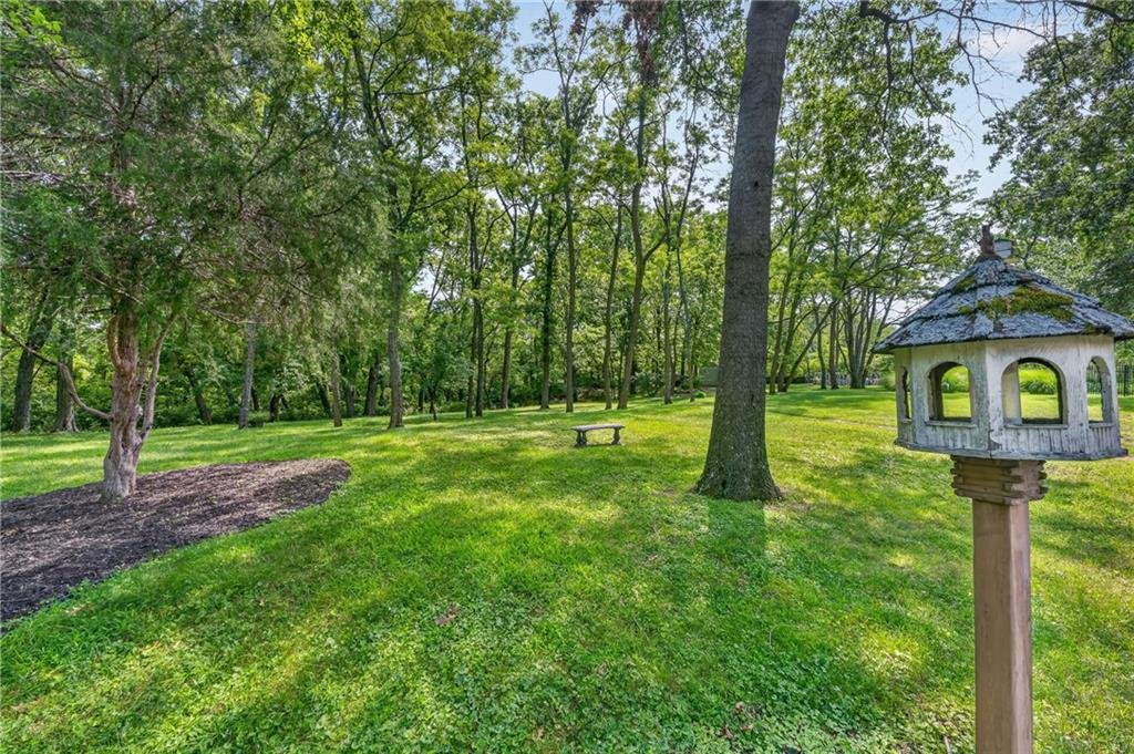6807 Cedar Bend N/a Property Photo 61