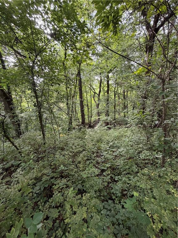 954 Tioga Rd Road Property Photo 49