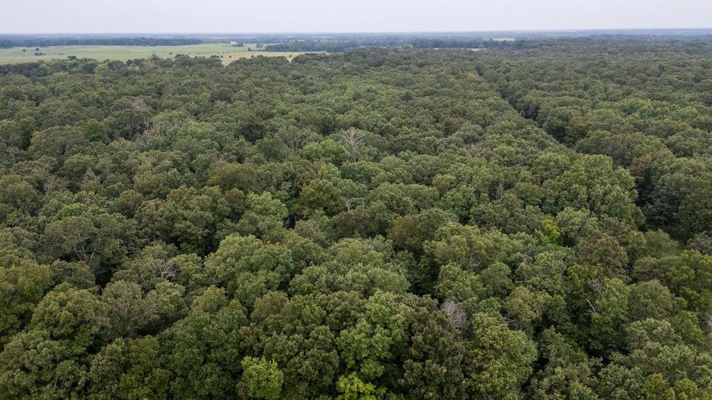0000 Tract 1 97 Highway Property Photo 33